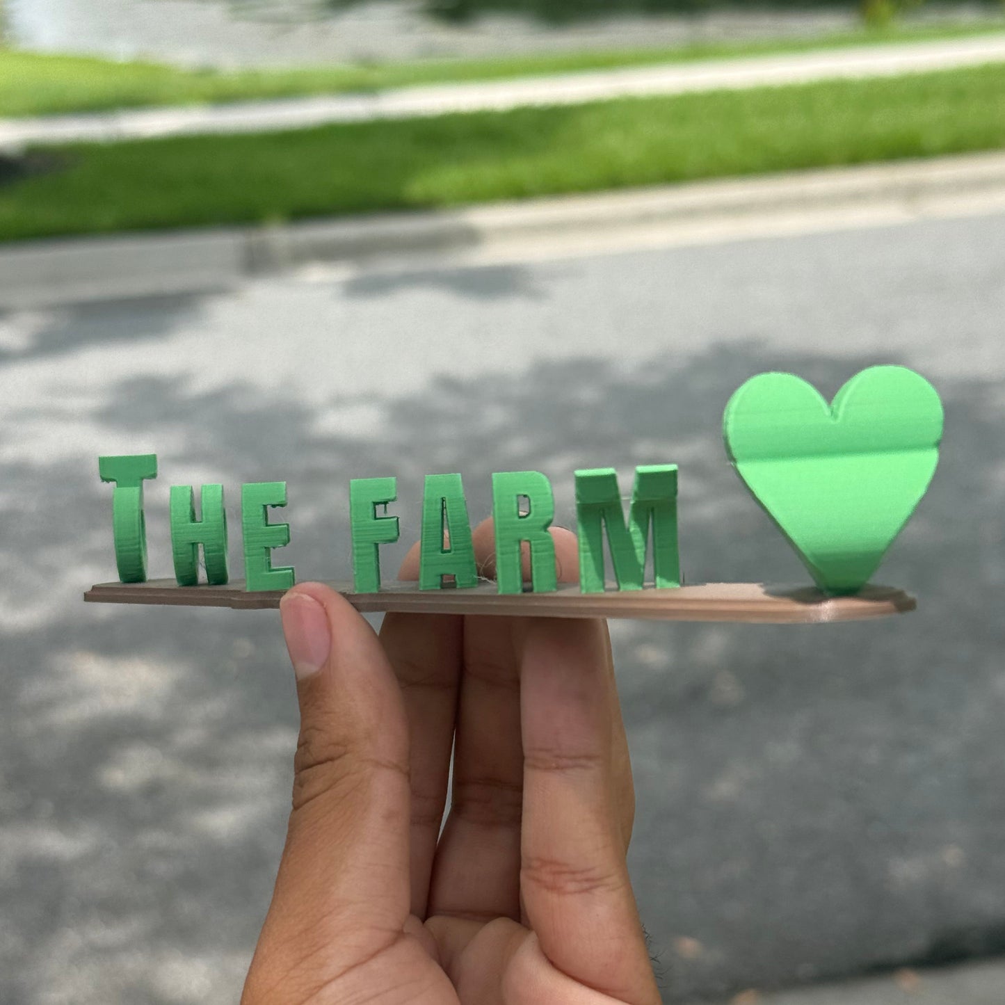 Bonnaroo / The Farm