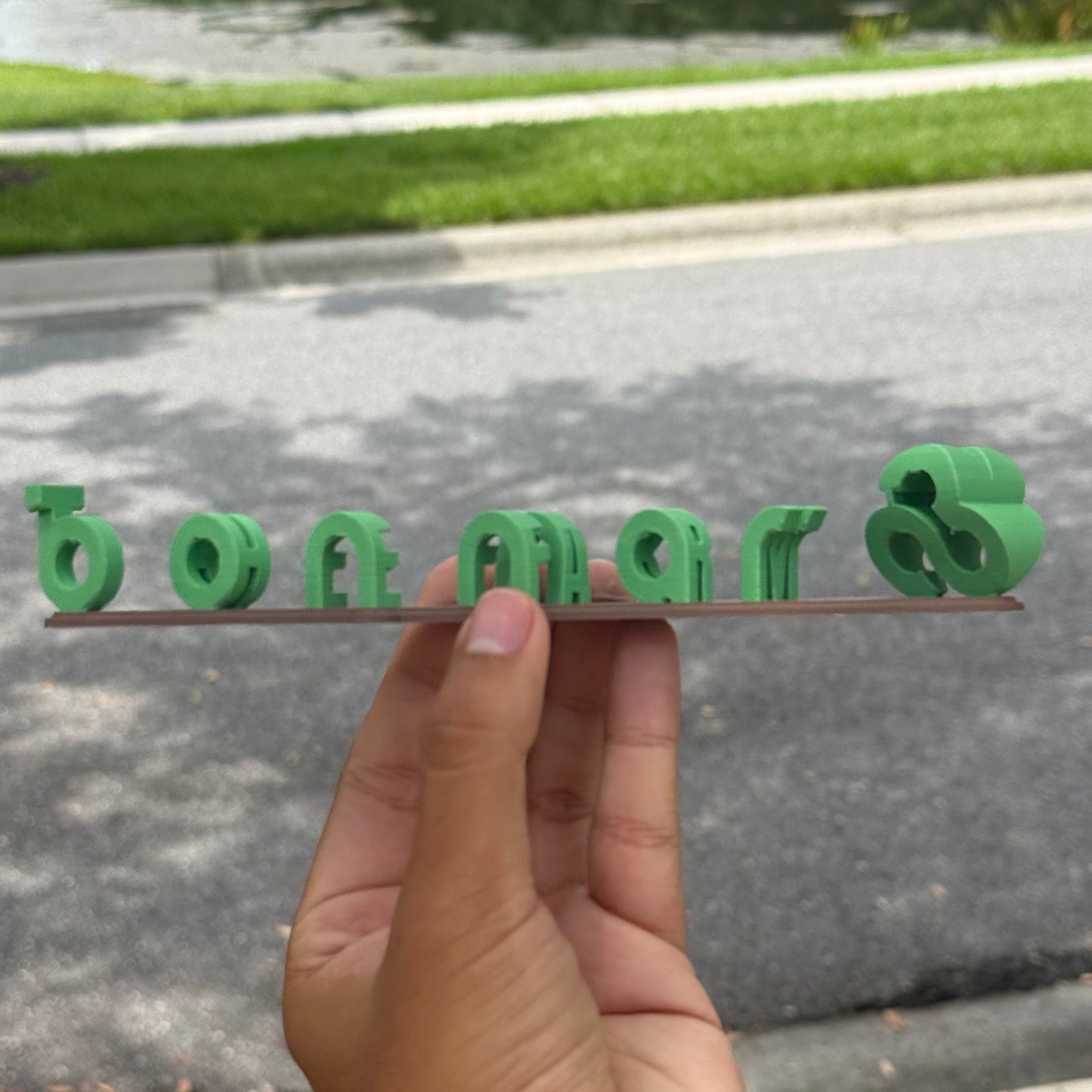 Bonnaroo / The Farm