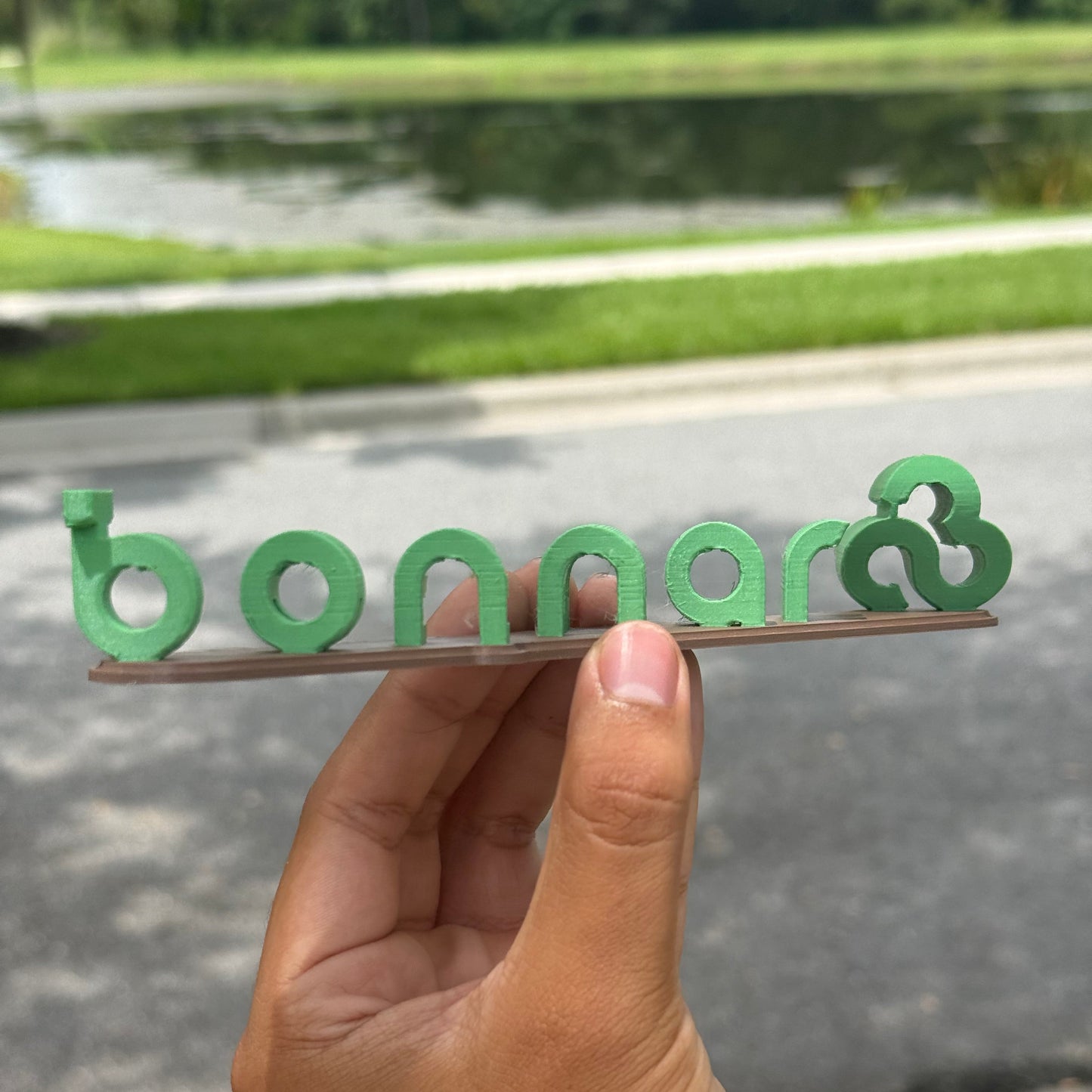 Bonnaroo / The Farm